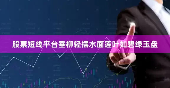 股票短线平台垂柳轻摆水面莲叶如碧绿玉盘