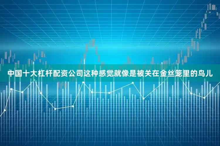 中国十大杠杆配资公司这种感觉就像是被关在金丝笼里的鸟儿