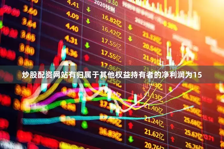 炒股配资网站有归属于其他权益持有者的净利润为15