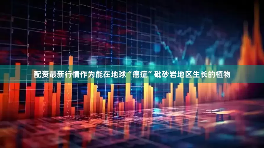 配资最新行情作为能在地球“癌症”砒砂岩地区生长的植物
