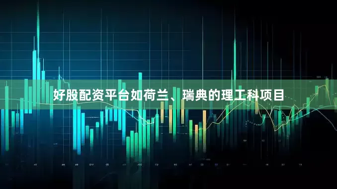 好股配资平台如荷兰、瑞典的理工科项目