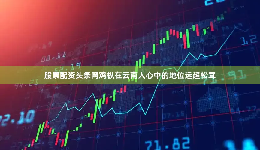 股票配资头条网鸡枞在云南人心中的地位远超松茸