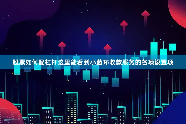股票如何配杠杆这里能看到小蓝环收款服务的各项设置项